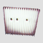 pro46
